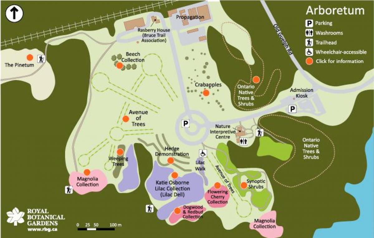 نقشہ کے ربگ Arboretum