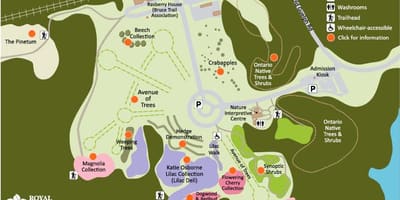 نقشہ کے ربگ Arboretum