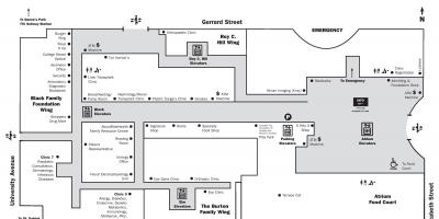 نقشہ کے لئے ہسپتال بیمار بچوں ٹورنٹو اہم منزل